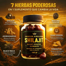 SHILAJIT PREMIUM Gummies® ORIGINAL 160g