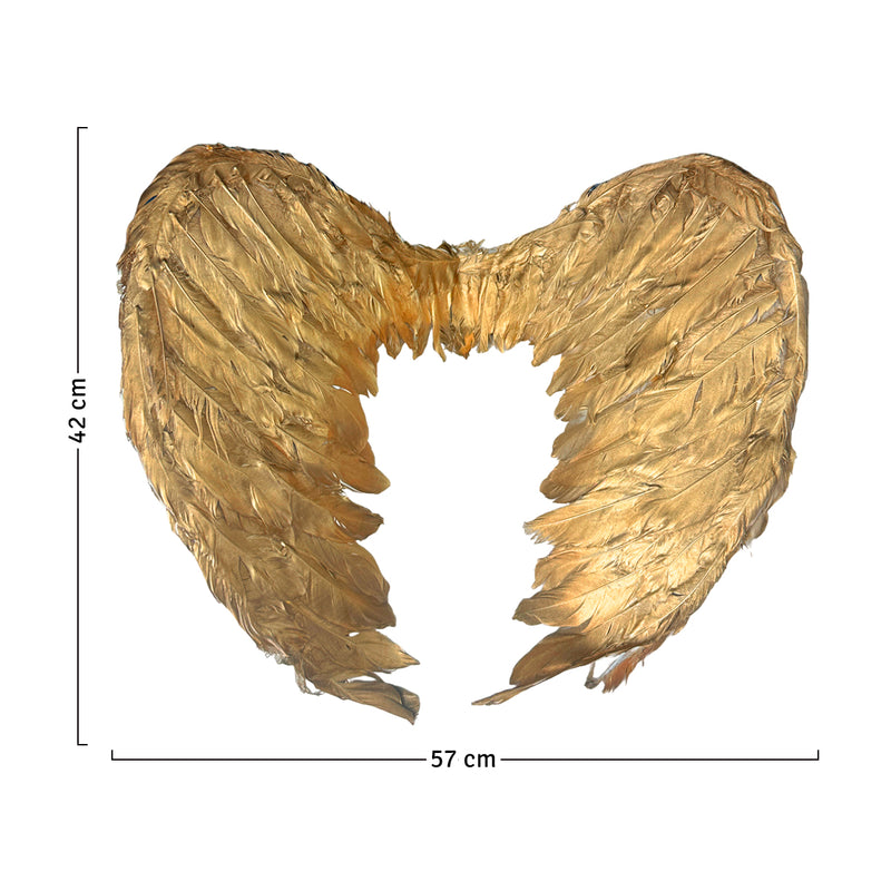AlasAngel Plumas Pequeñas