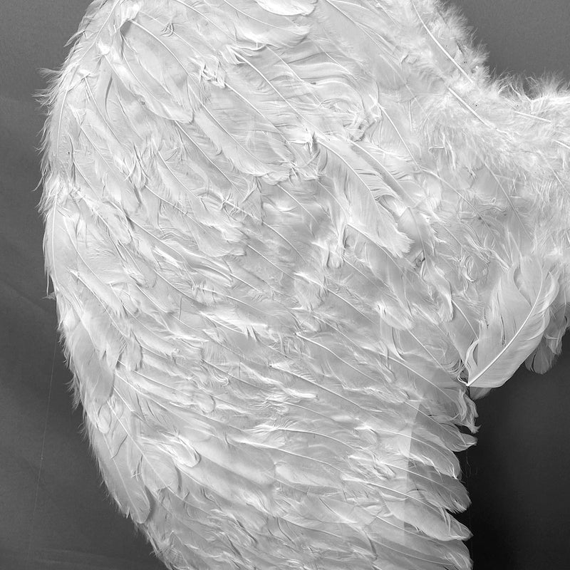 Alas Articuladas Grandes - Ligeras y Realistas